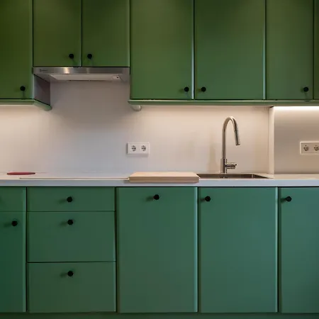 'salmosalar' Appartement Onís