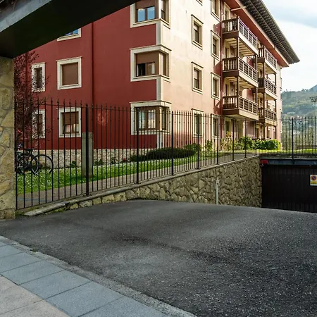 'salmosalar' Cangas de Onis